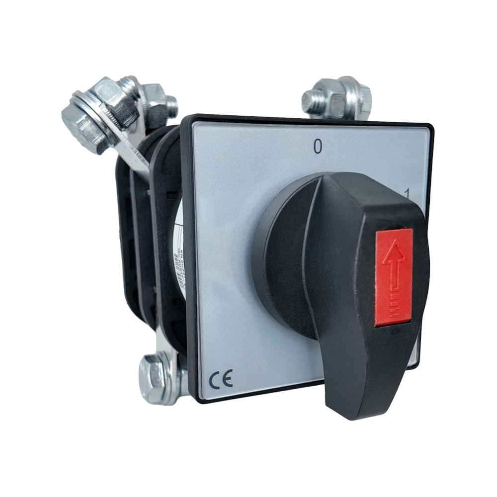 Interruptor 0-1, 3P, 100A ,Isolator , Rishabh